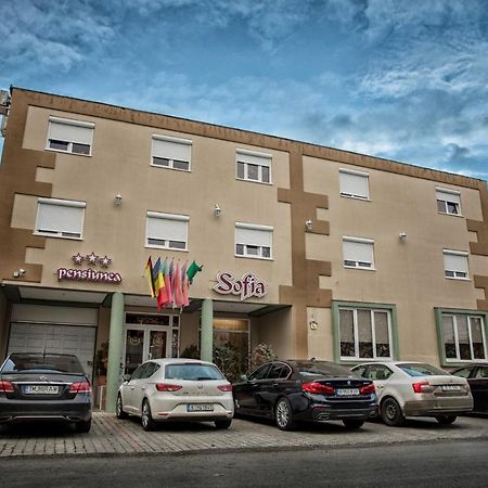 Pensiunea Sofia Timisoara Luaran gambar