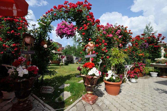 Pensiunea Sofia Timisoara Luaran gambar