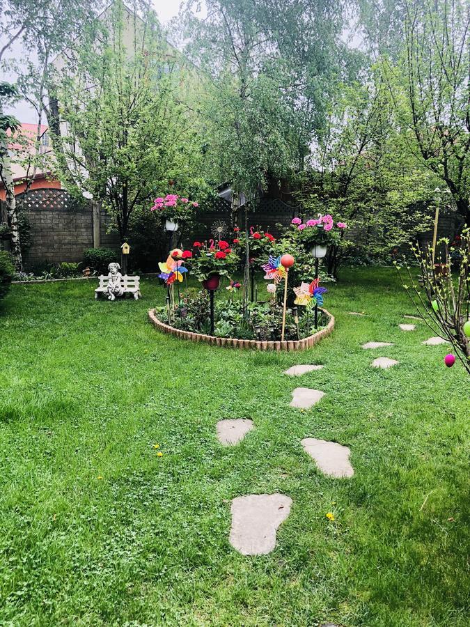 Pensiunea Sofia Timisoara Luaran gambar