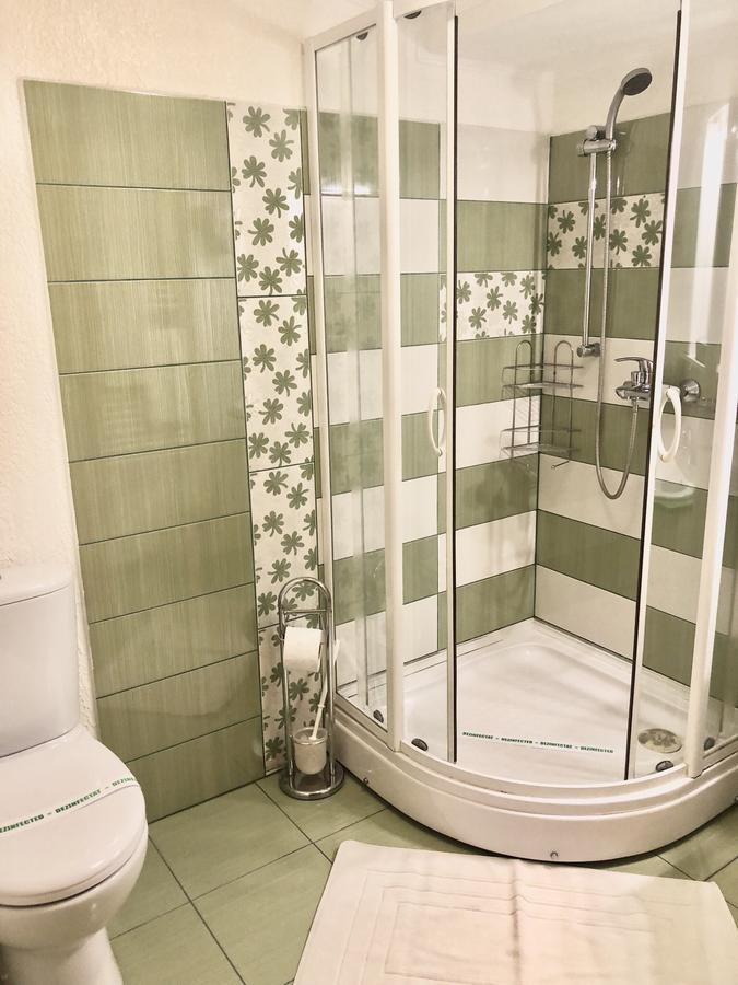 Pensiunea Sofia Timisoara Luaran gambar