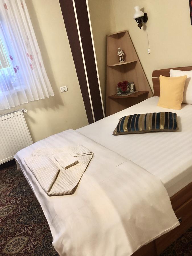 Pensiunea Sofia Timisoara Luaran gambar