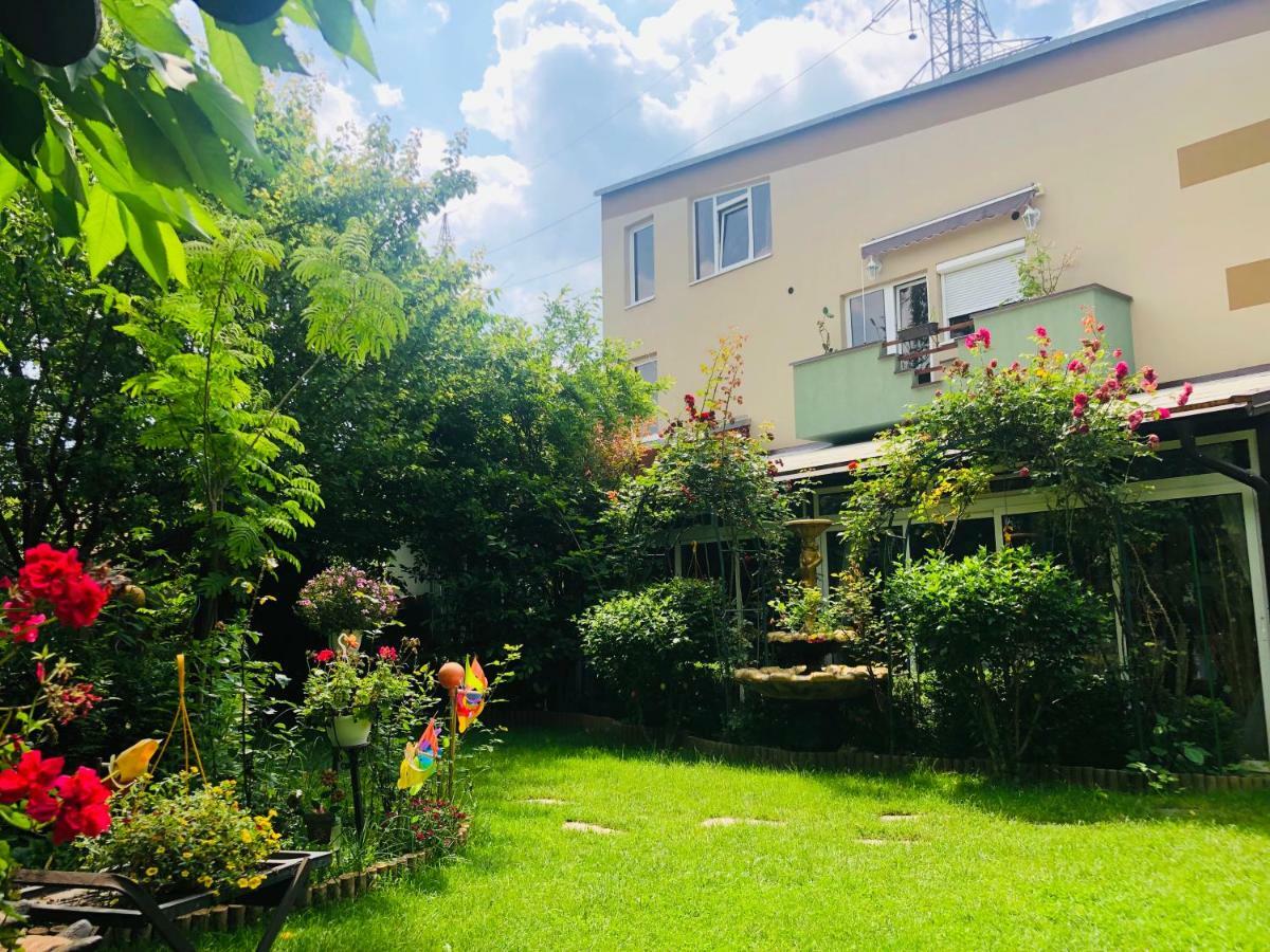 Pensiunea Sofia Timisoara Luaran gambar